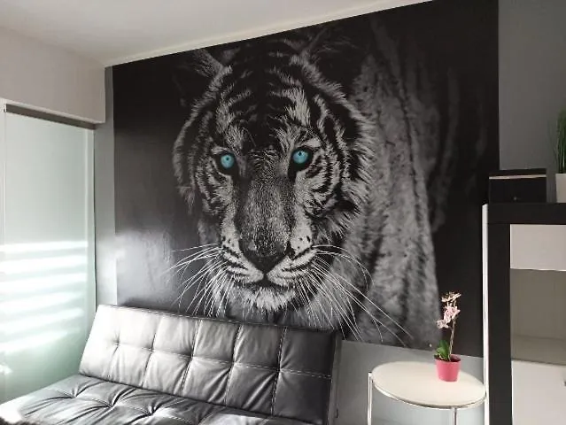 Apartament Tygrys